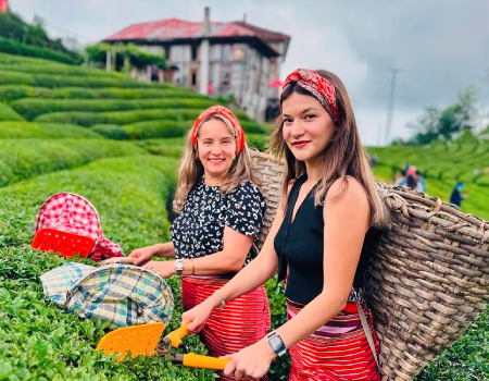 Tourists visit a tea garden in Rize, Türkiye, June 24, 2024. (Mustafa Kaya/Handout via Xinhua)