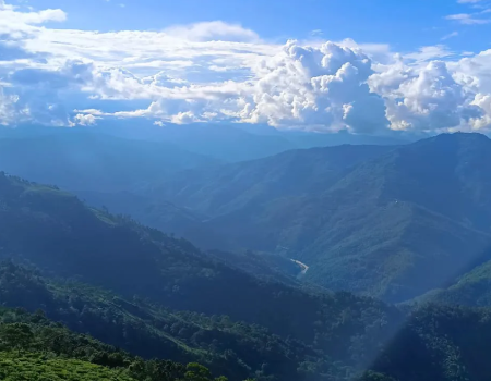 The stunning Darjeeling region of India (Photo: Gurvinder Singh)