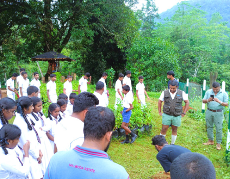 Sri Lanka presents unique tea ceremony to the worldFeature: Bogawantalawa Tea sets global benchmarks in sustainable plantations